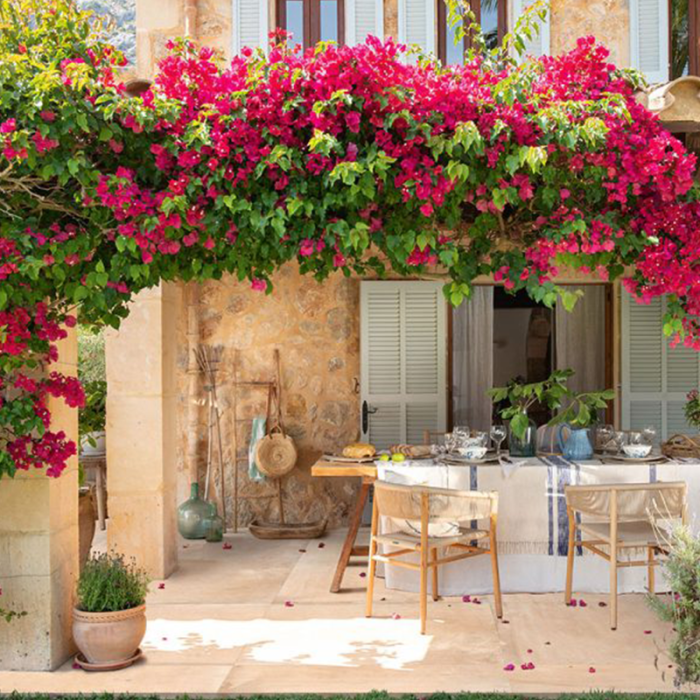 Cuore Rosso - Slika 3